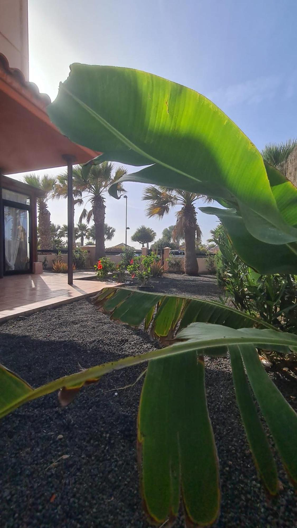 Green Ocean House - Origo Mare Лахарес Экстерьер фото